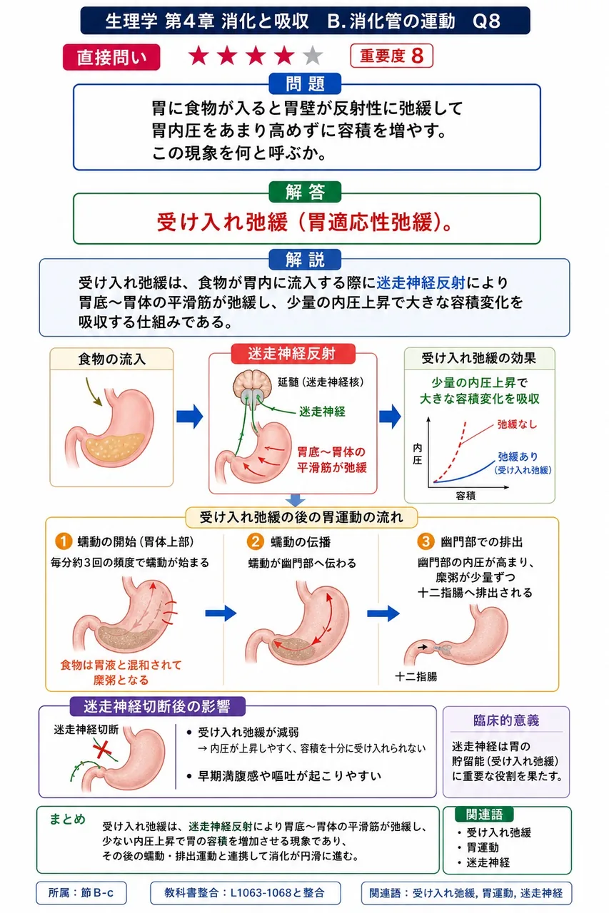 胃に食物が入ると胃壁が反射性に弛緩して胃内圧をあまり高めずに容積を増やす。この現象を何と呼ぶか。 解説図