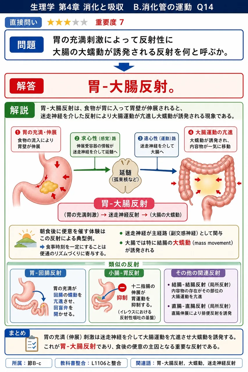 胃の充満刺激によって反射性に大腸の大蠕動が誘発される反射を何と呼ぶか。 解説図