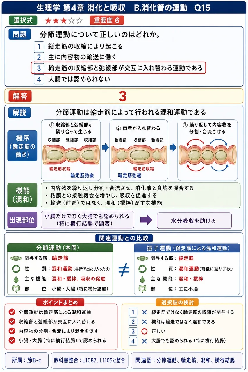 分節運動について正しいのはどれか。 解説図