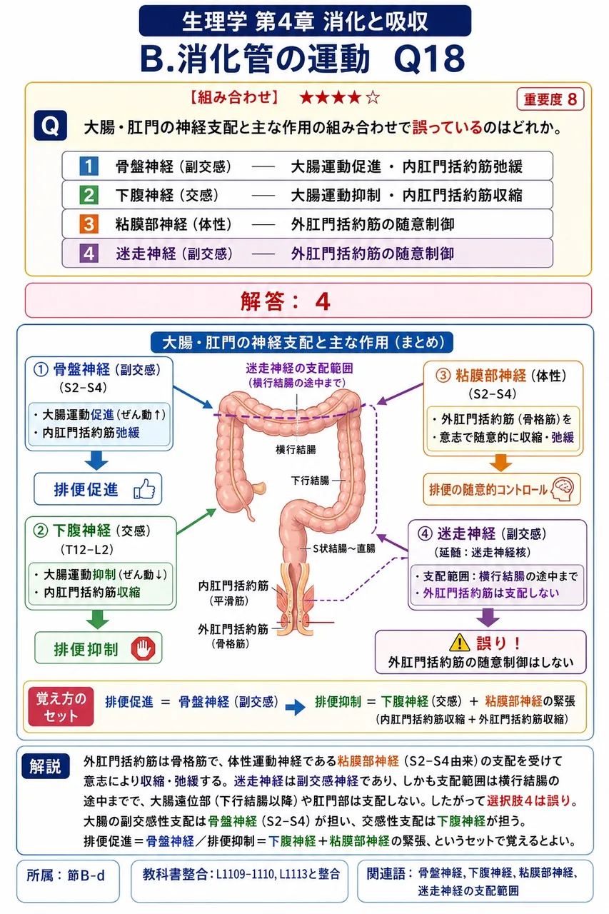 大腸・肛門の神経支配と主な作用の組み合わせで誤っているのはどれか。 解説図