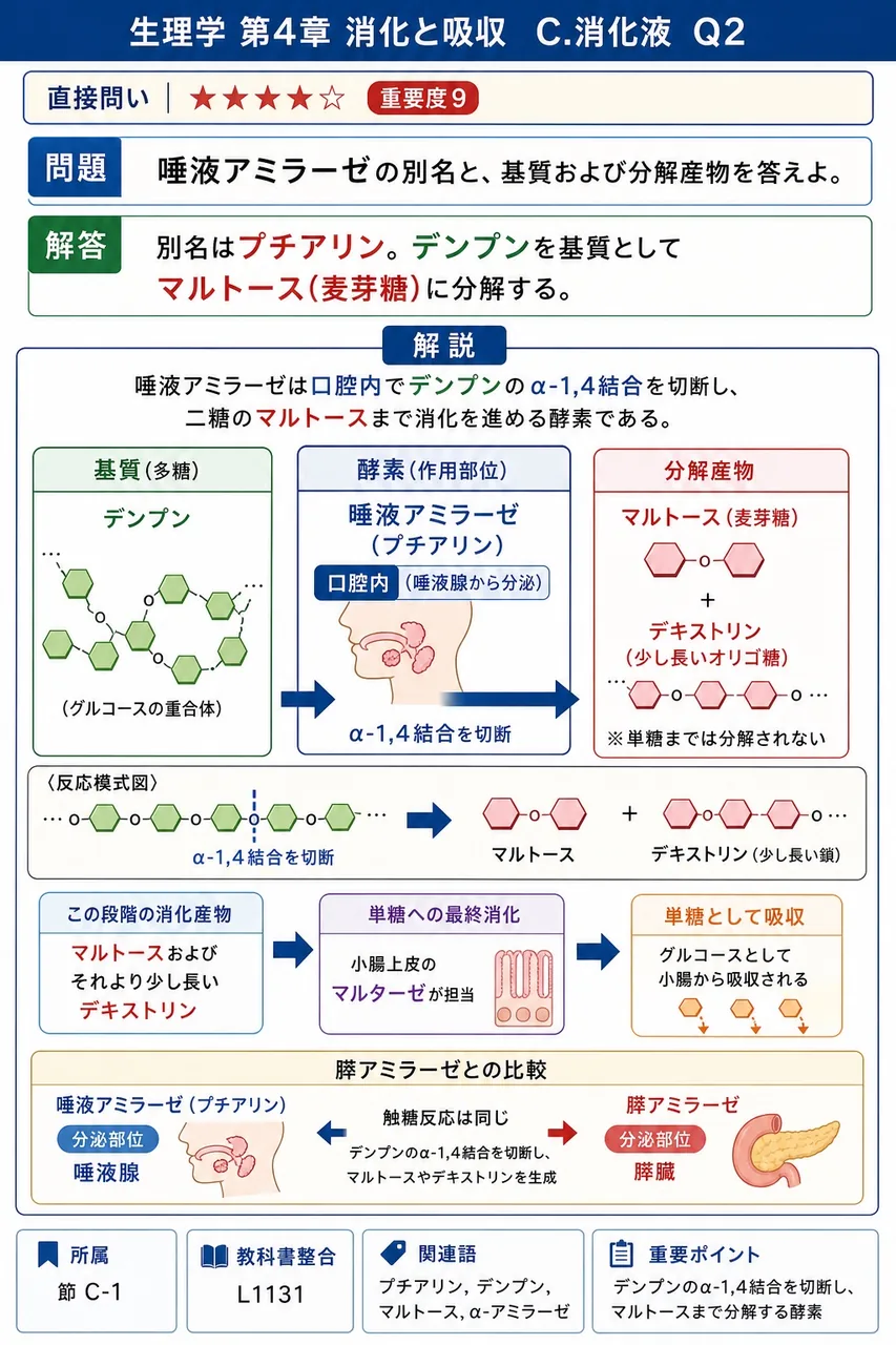 唾液アミラーゼの別名と、基質および分解産物を答えよ。 解説図