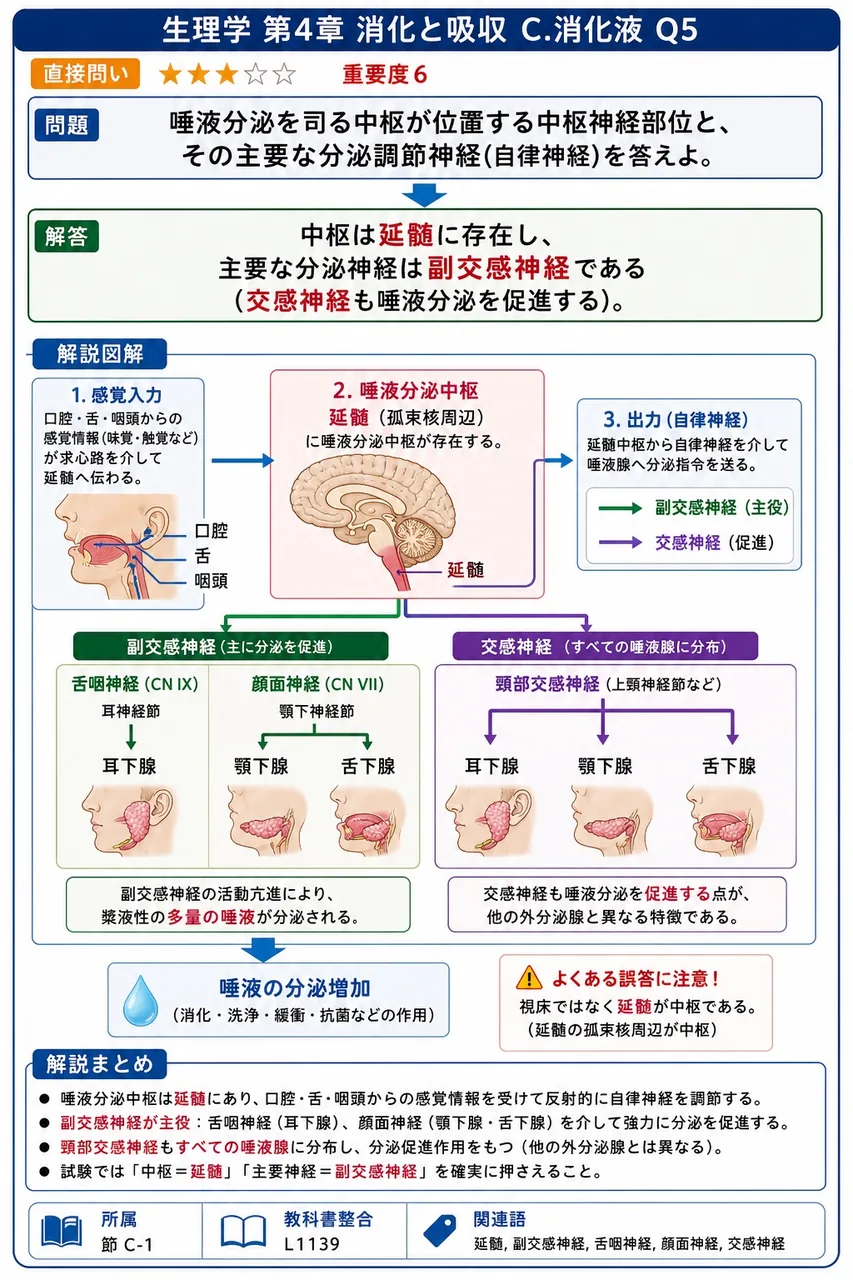 唾液分泌を司る中枢が位置する中枢神経部位と、その主要な分泌調節神経(自律神経)を答えよ。 解説図