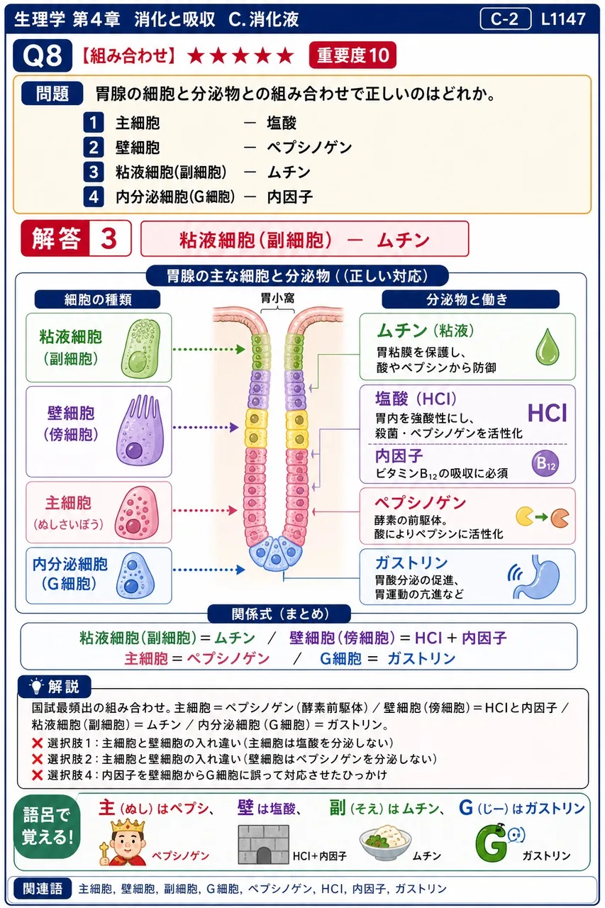 胃腺の細胞と分泌物との組み合わせで正しいのはどれか。 解説図