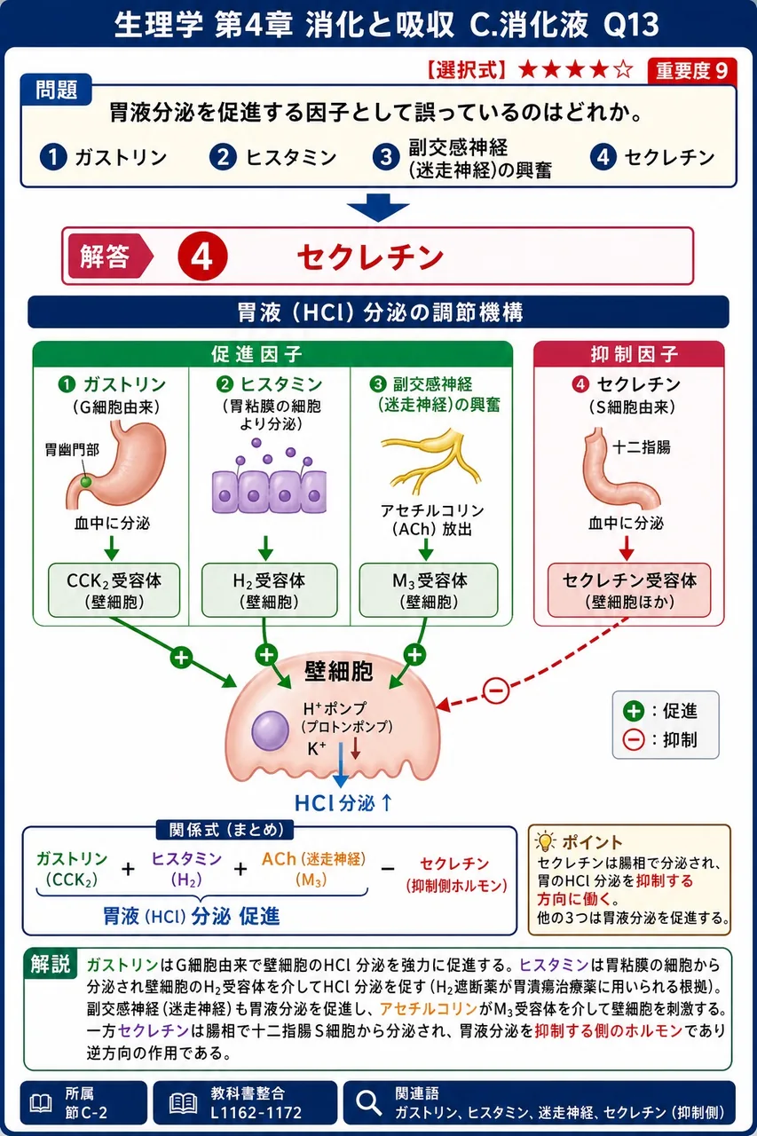 胃液分泌を促進する因子として誤っているのはどれか。 解説図
