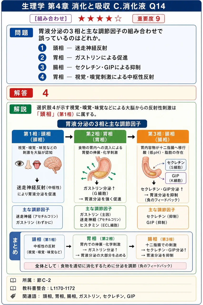 胃液分泌の3相と主な調節因子の組み合わせで誤っているのはどれか。 解説図