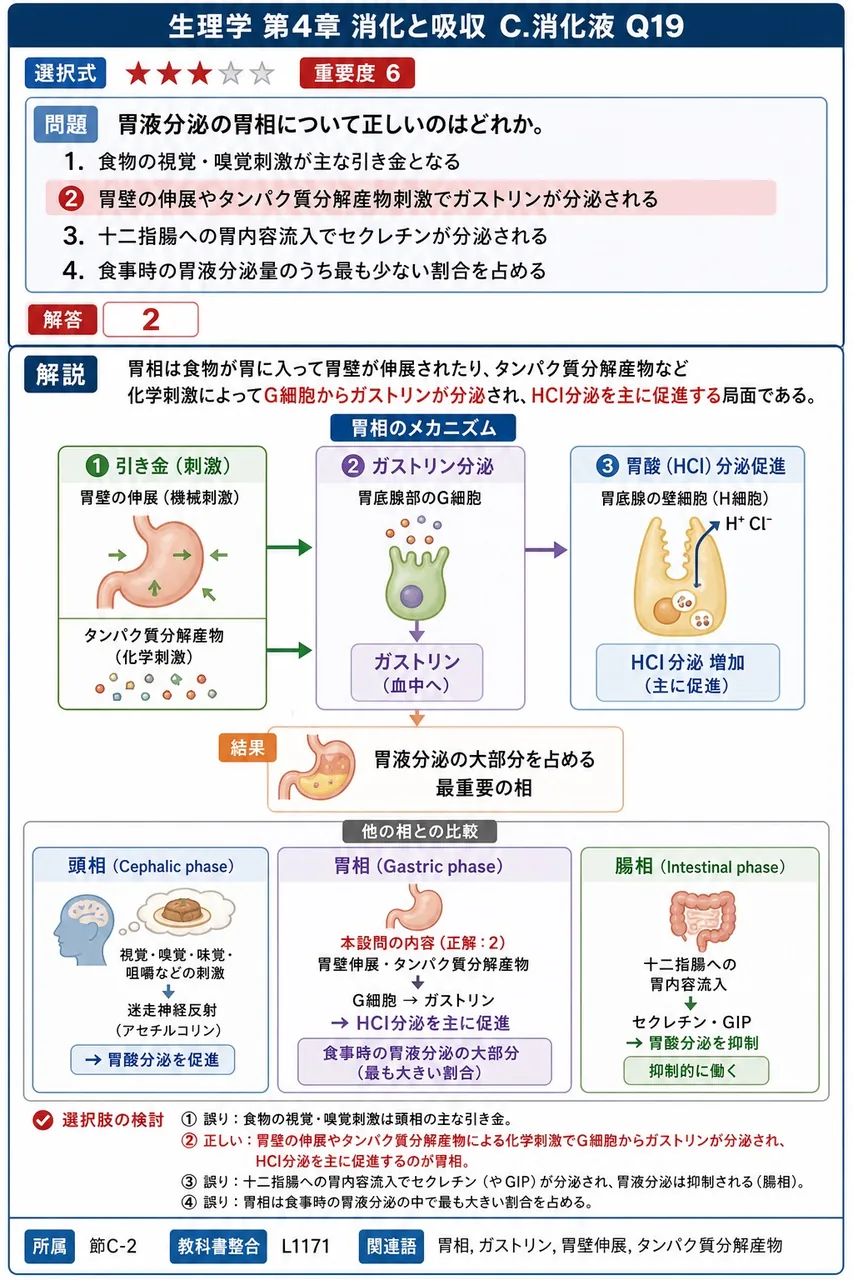 胃液分泌の胃相について正しいのはどれか。 解説図