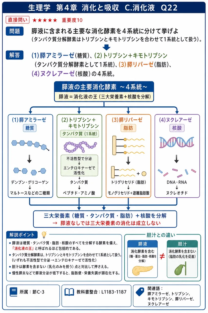膵液に含まれる主要な消化酵素を4系統に分けて挙げよ(タンパク質分解酵素はトリプシンとキモトリプシンを合わせて1系統として扱う)。 解説図
