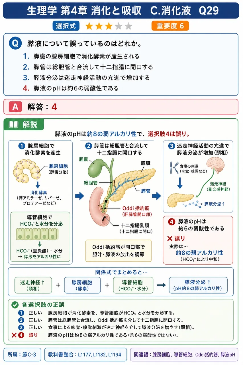 膵液について誤っているのはどれか。 解説図