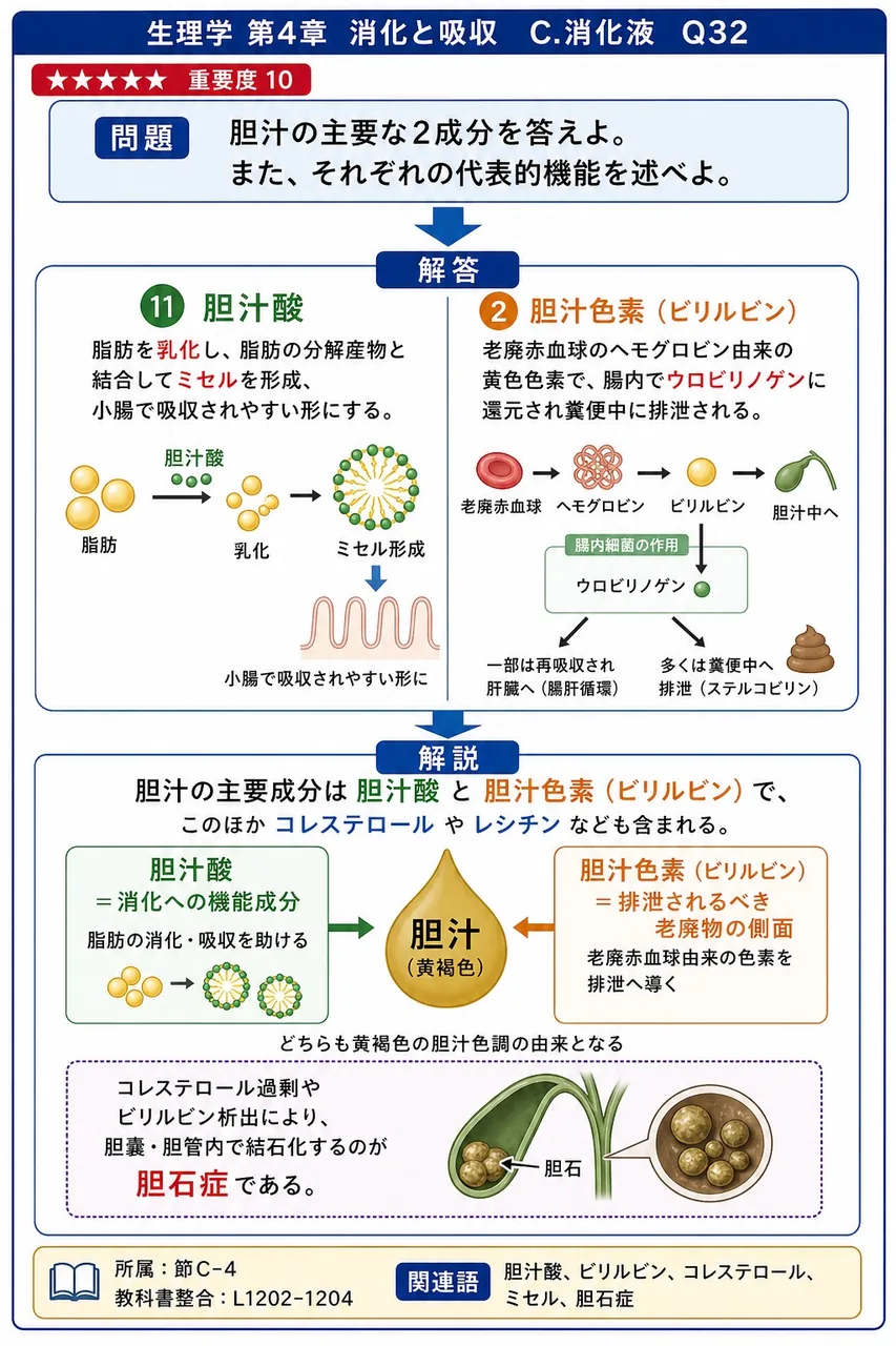 胆汁の主要な2成分を答えよ。また、それぞれの代表的機能を述べよ。 解説図