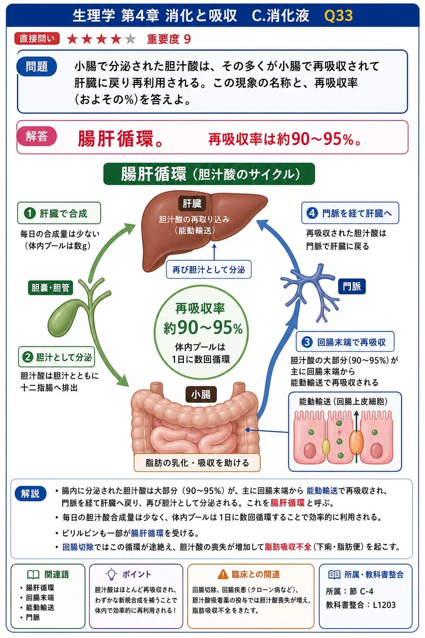小腸で分泌された胆汁酸は、その多くが小腸で再吸収されて肝臓に戻り再利用される。この現象の名称と、再吸収率(およその%)を答えよ。 解説図