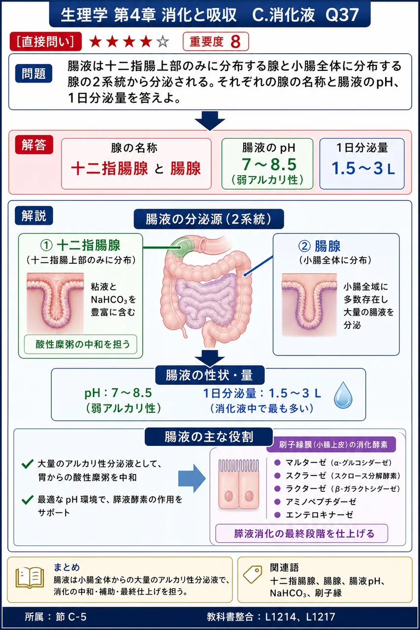 腸液は十二指腸上部のみに分布する腺と小腸全体に分布する腺の2系統から分泌される。それぞれの腺の名称と腸液のpH、1日分泌量を答えよ。 解説図