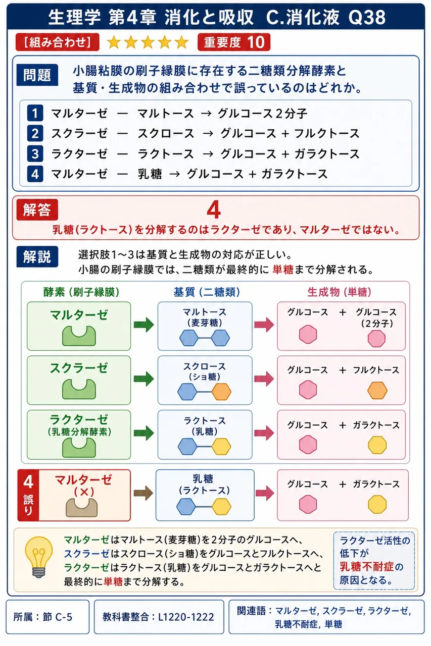 小腸粘膜の刷子縁膜に存在する二糖類分解酵素と基質・生成物の組み合わせで誤っているのはどれか。 解説図