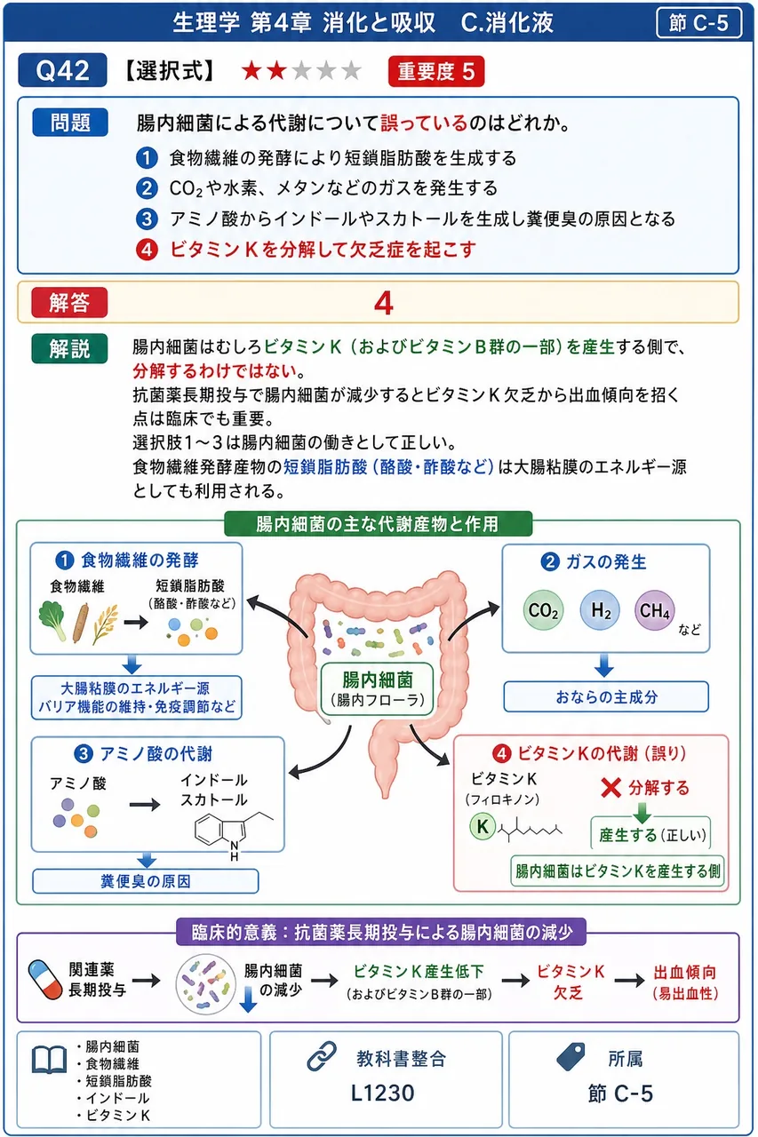 腸内細菌による代謝について誤っているのはどれか。 解説図
