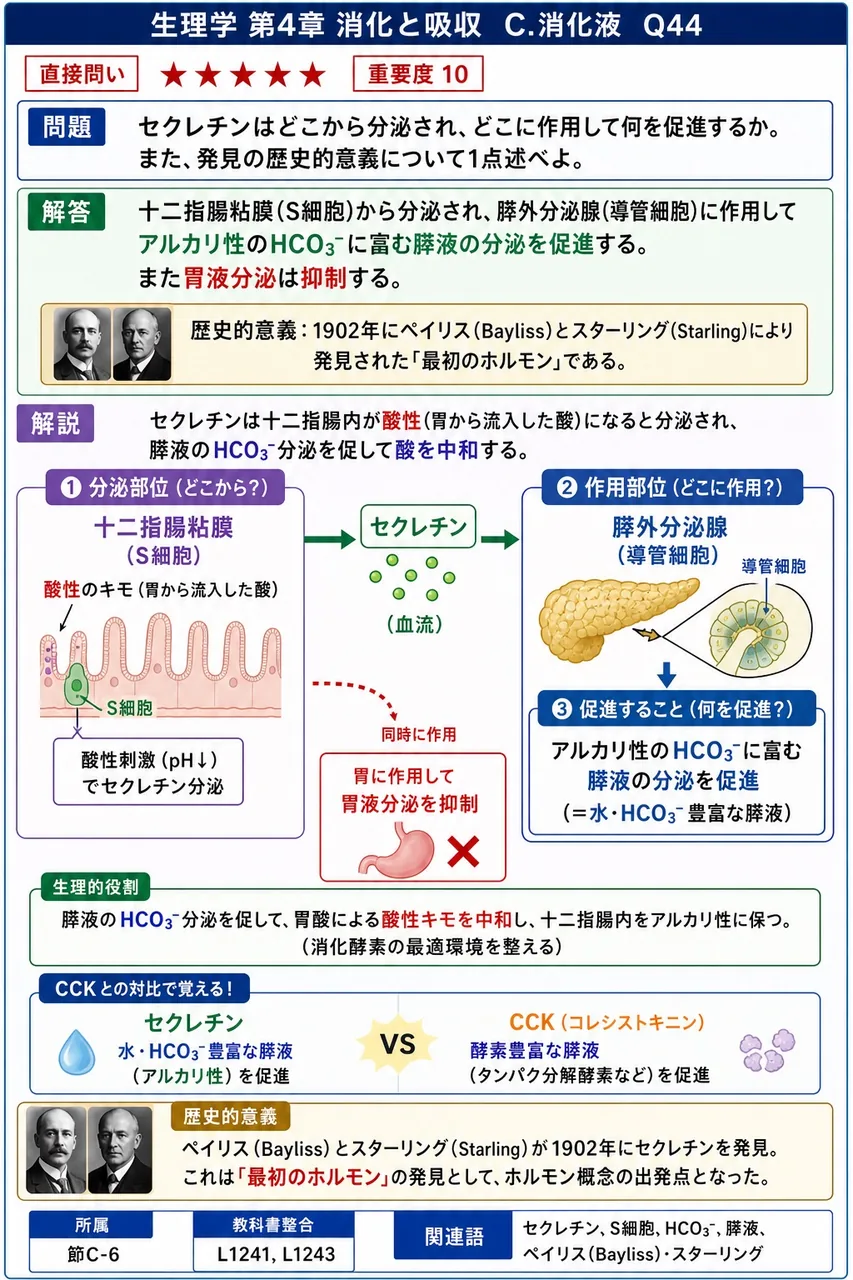 セクレチンはどこから分泌され、どこに作用して何を促進するか。また、発見の歴史的意義について1点述べよ。 解説図