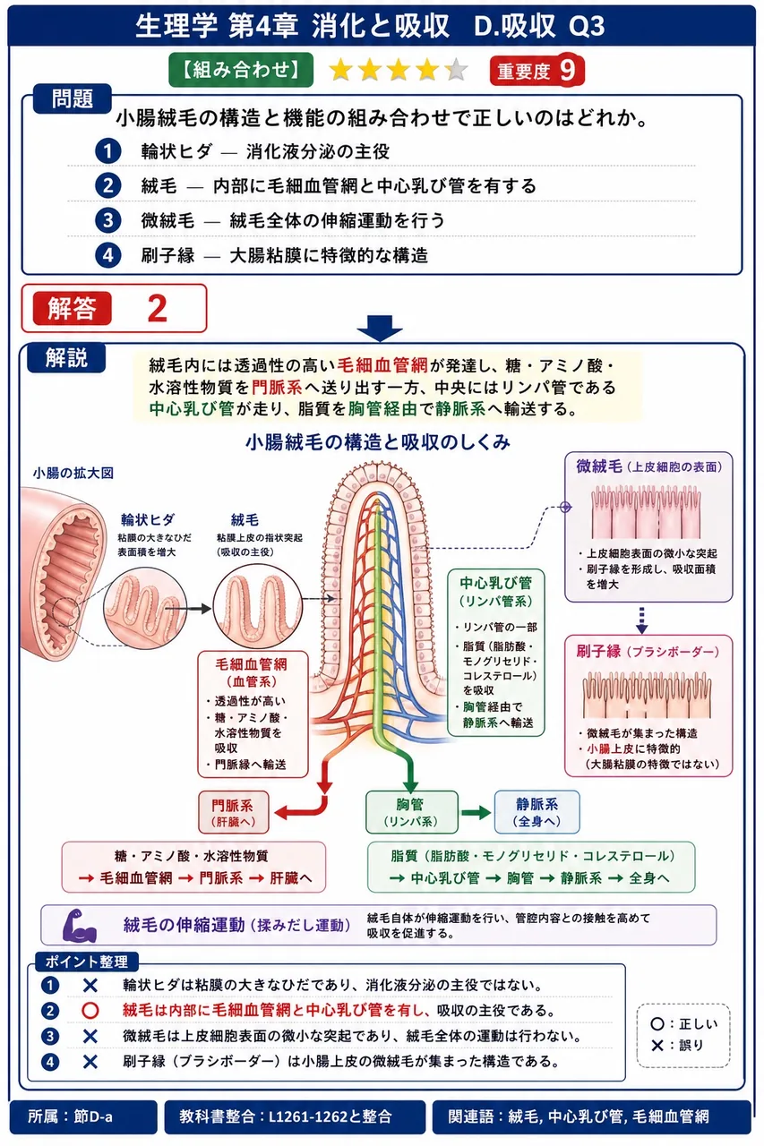 小腸絨毛の構造と機能の組み合わせで正しいのはどれか。 解説図