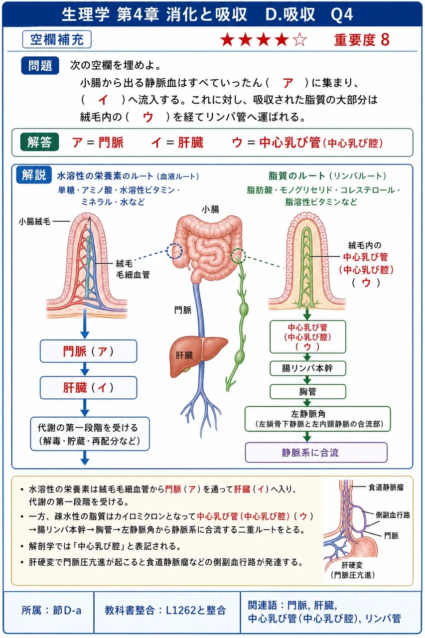 次の空欄を埋めよ。 「小腸から出る静脈血はすべていったん( ア )に集まり、( イ )へ流入する。これに対し、吸収された脂質の大部分は絨毛内の( ウ )を経てリンパ管へ運ばれる。」 解説図