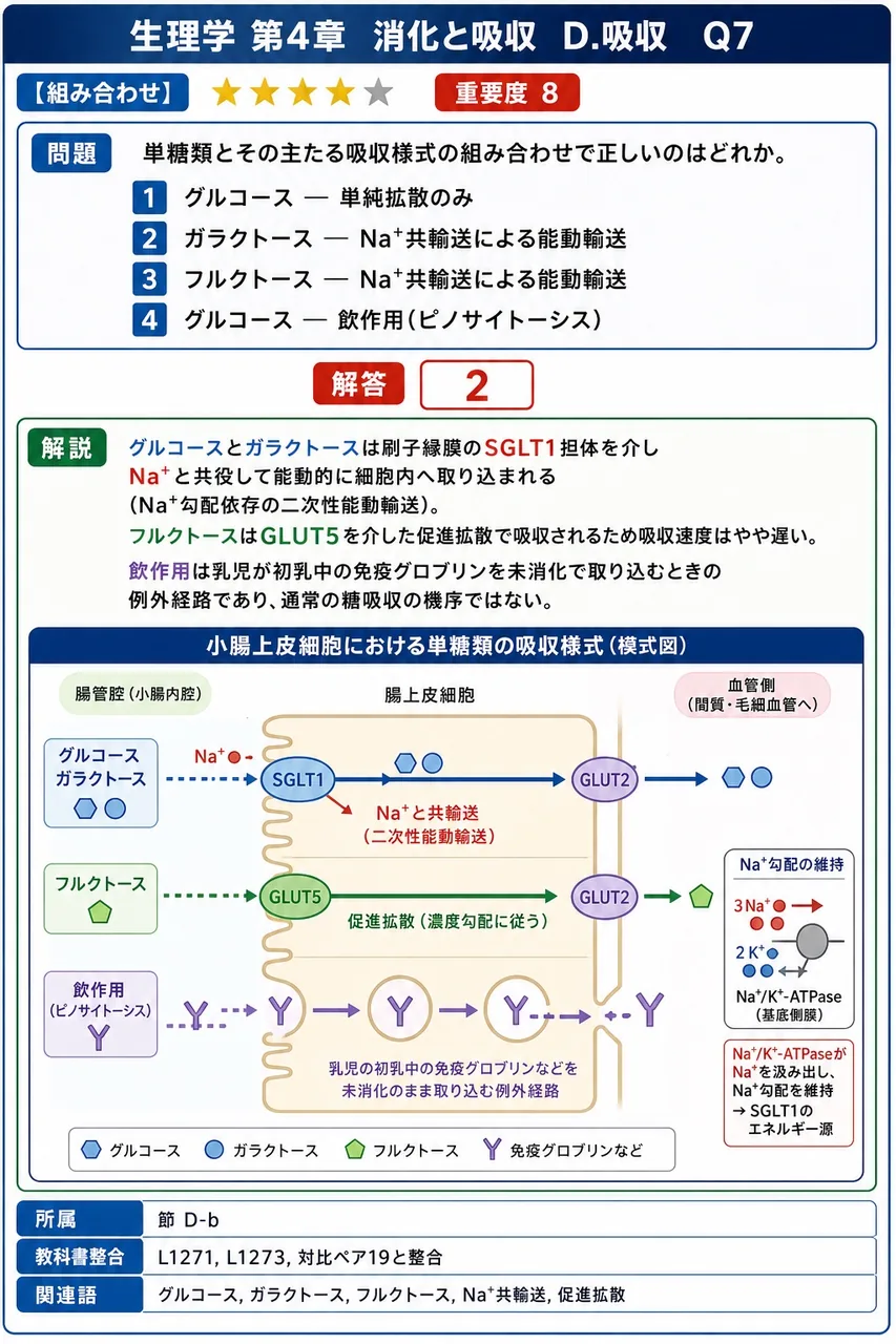 単糖類とその主たる吸収様式の組み合わせで正しいのはどれか。 解説図