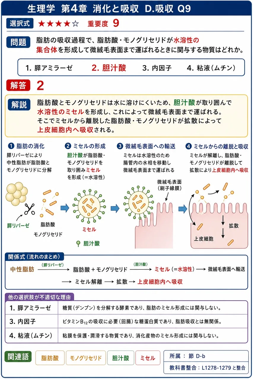 脂肪の吸収過程で、脂肪酸・モノグリセリドが水溶性の集合体を形成して微絨毛表面まで運ばれるときに関与する物質はどれか。 解説図