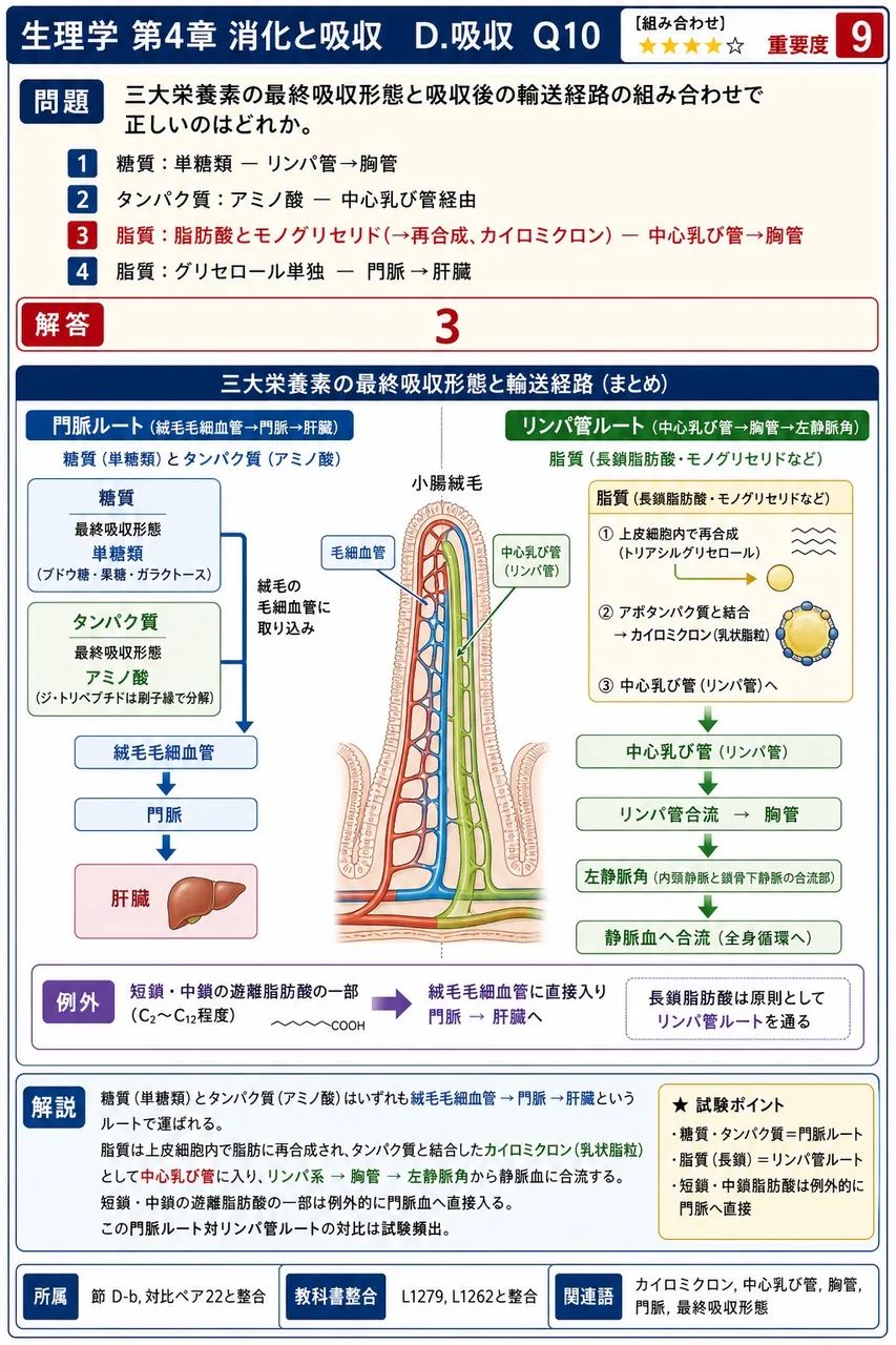 三大栄養素の最終吸収形態と吸収後の輸送経路の組み合わせで正しいのはどれか。 解説図