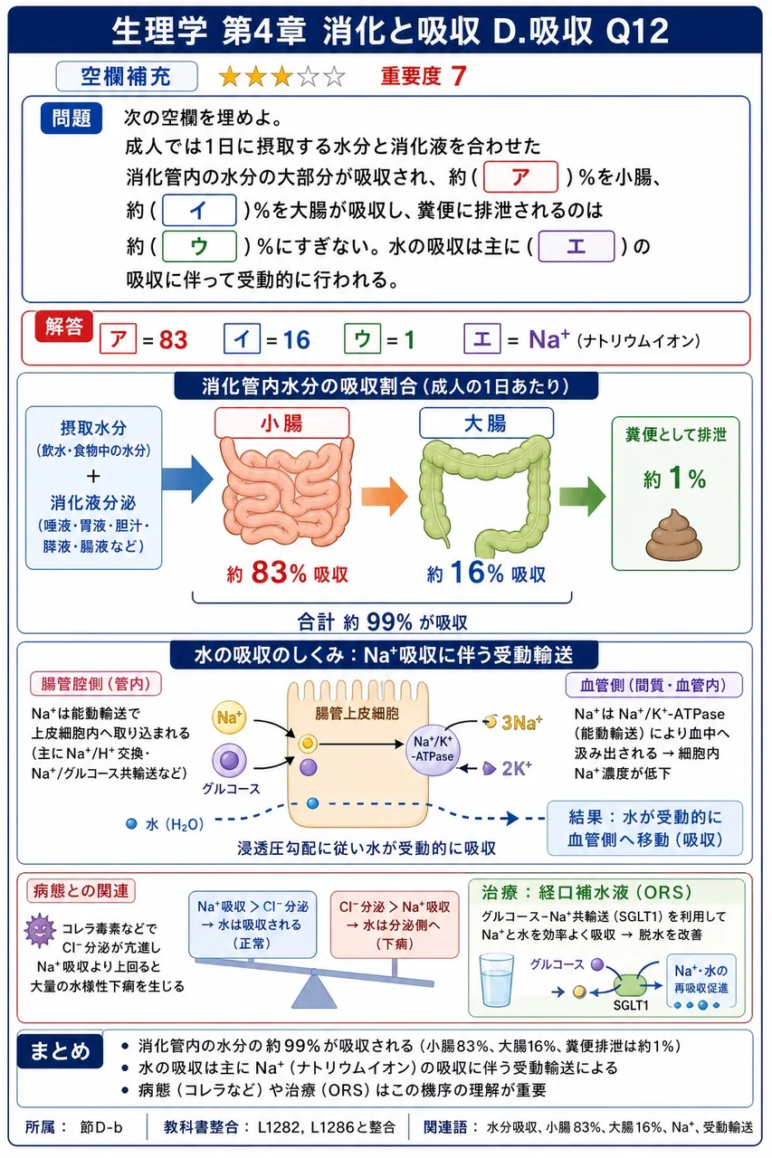 次の空欄を埋めよ。 「成人では1日に摂取する水分と消化液を合わせた消化管内の水分の大部分が吸収され、約( ア )%を小腸、約( イ )%を大腸が吸収し、糞便に排泄されるのは約( ウ )%にすぎない。水の吸収は主に( エ )の吸収に伴って受動的に行われる。」 解説図