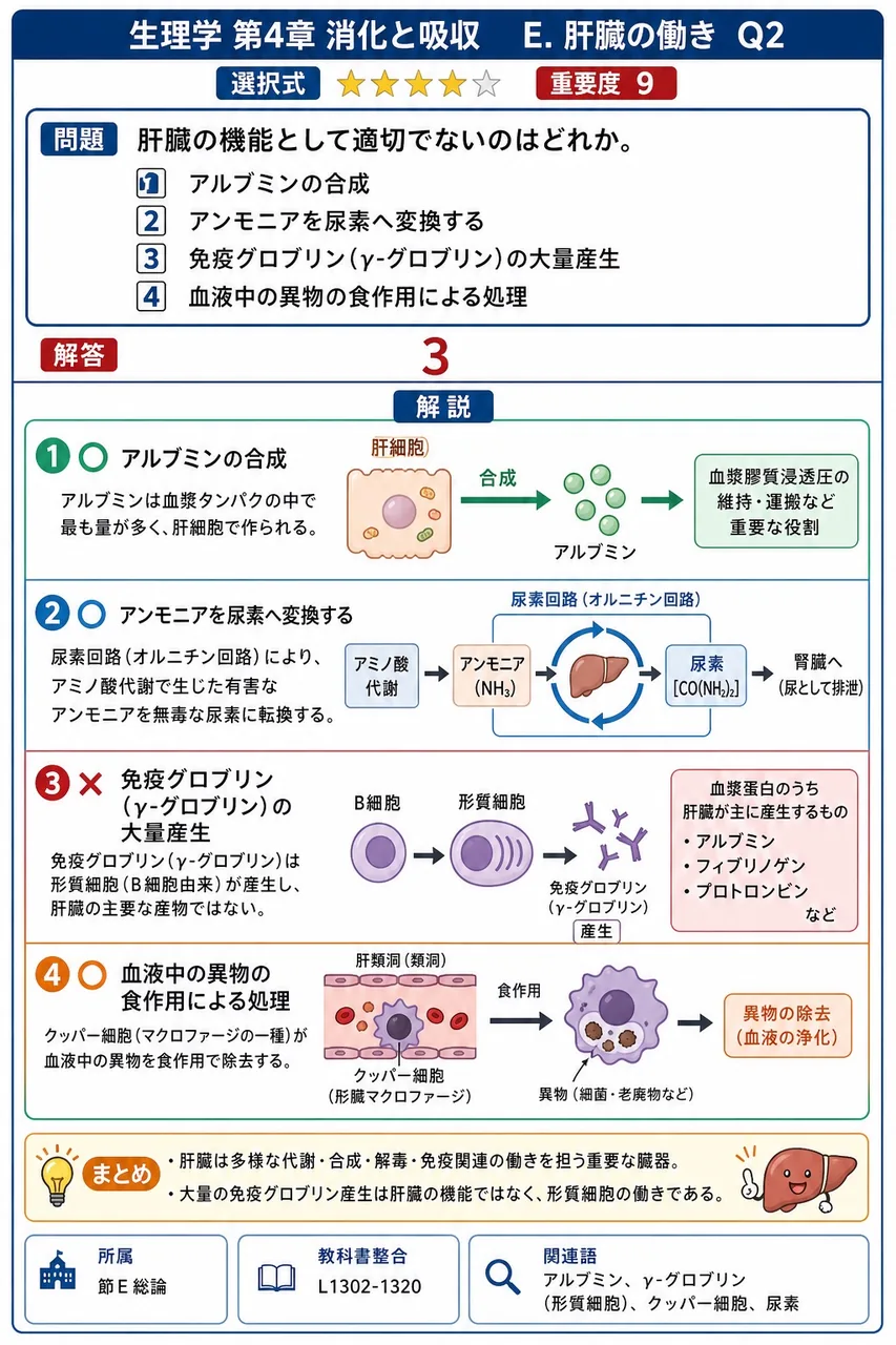 肝臓の機能として適切でないのはどれか。 解説図