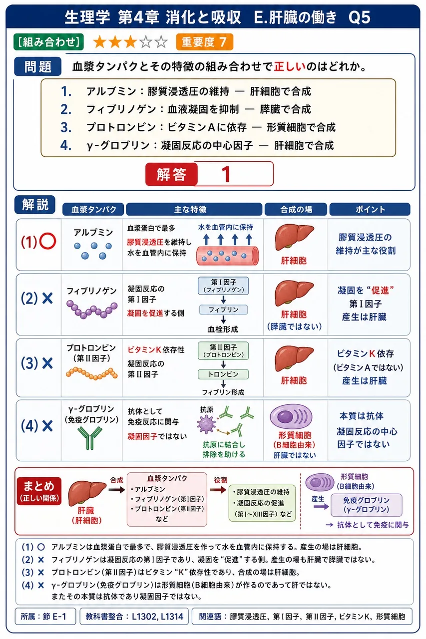 血漿タンパクとその特徴の組み合わせで正しいのはどれか。 解説図