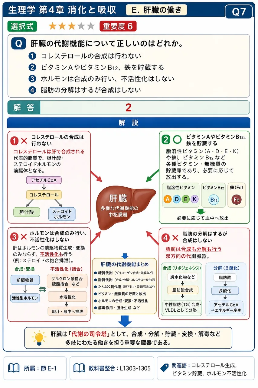 肝臓の代謝機能について正しいのはどれか。 解説図