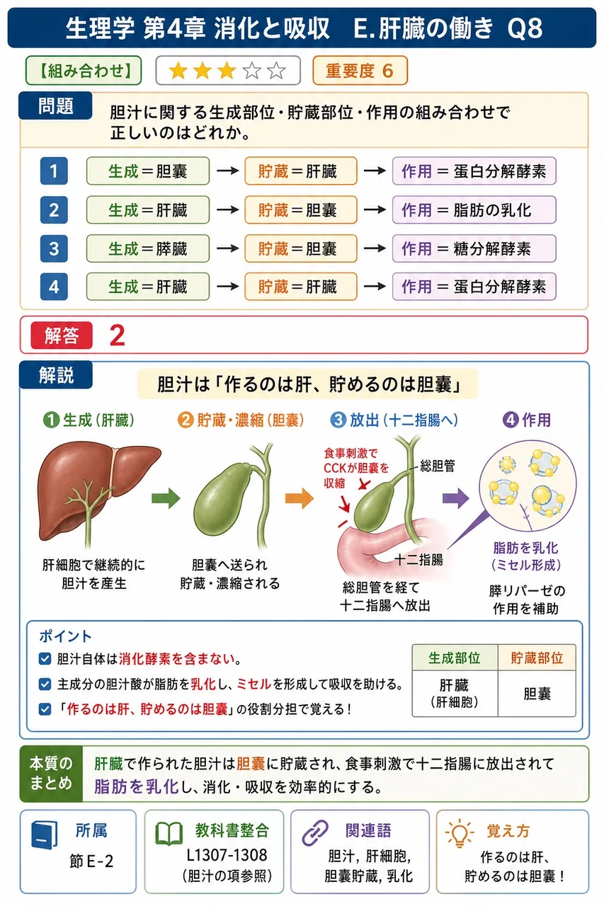 胆汁に関する生成部位・貯蔵部位・作用の組み合わせで正しいのはどれか。 解説図
