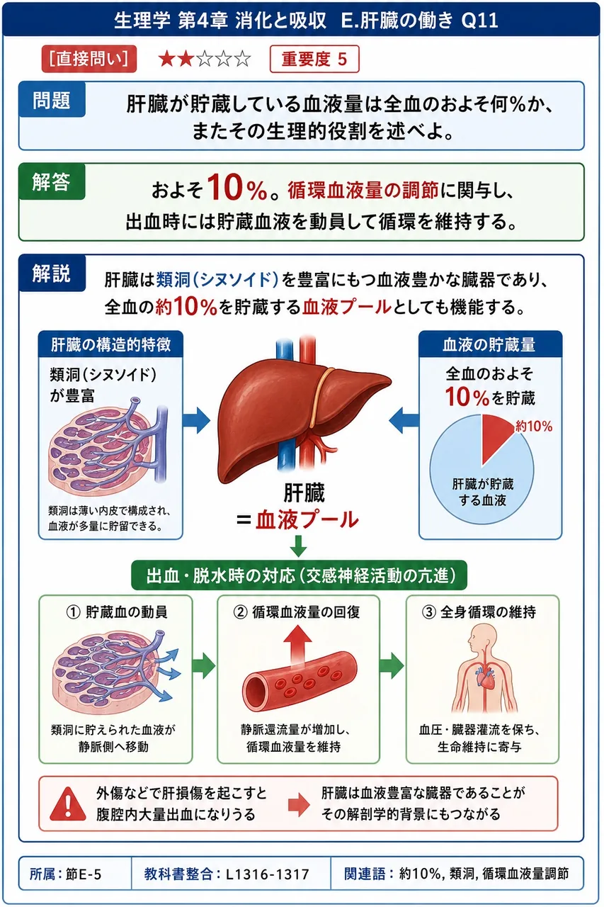 肝臓が貯蔵している血液量は全血のおよそ何%か、またその生理的役割を述べよ。 解説図