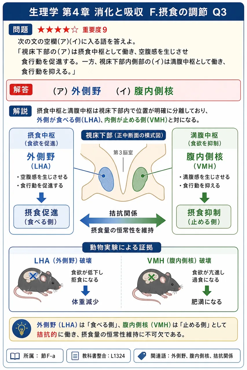 次の文の空欄(ア)(イ)に入る語を答えよ。 「視床下部の(ア)は摂食中枢として働き、空腹感を生じさせ食行動を促進する。一方、視床下部内側部の(イ)は満腹中枢として働き、食行動を抑える。」 解説図