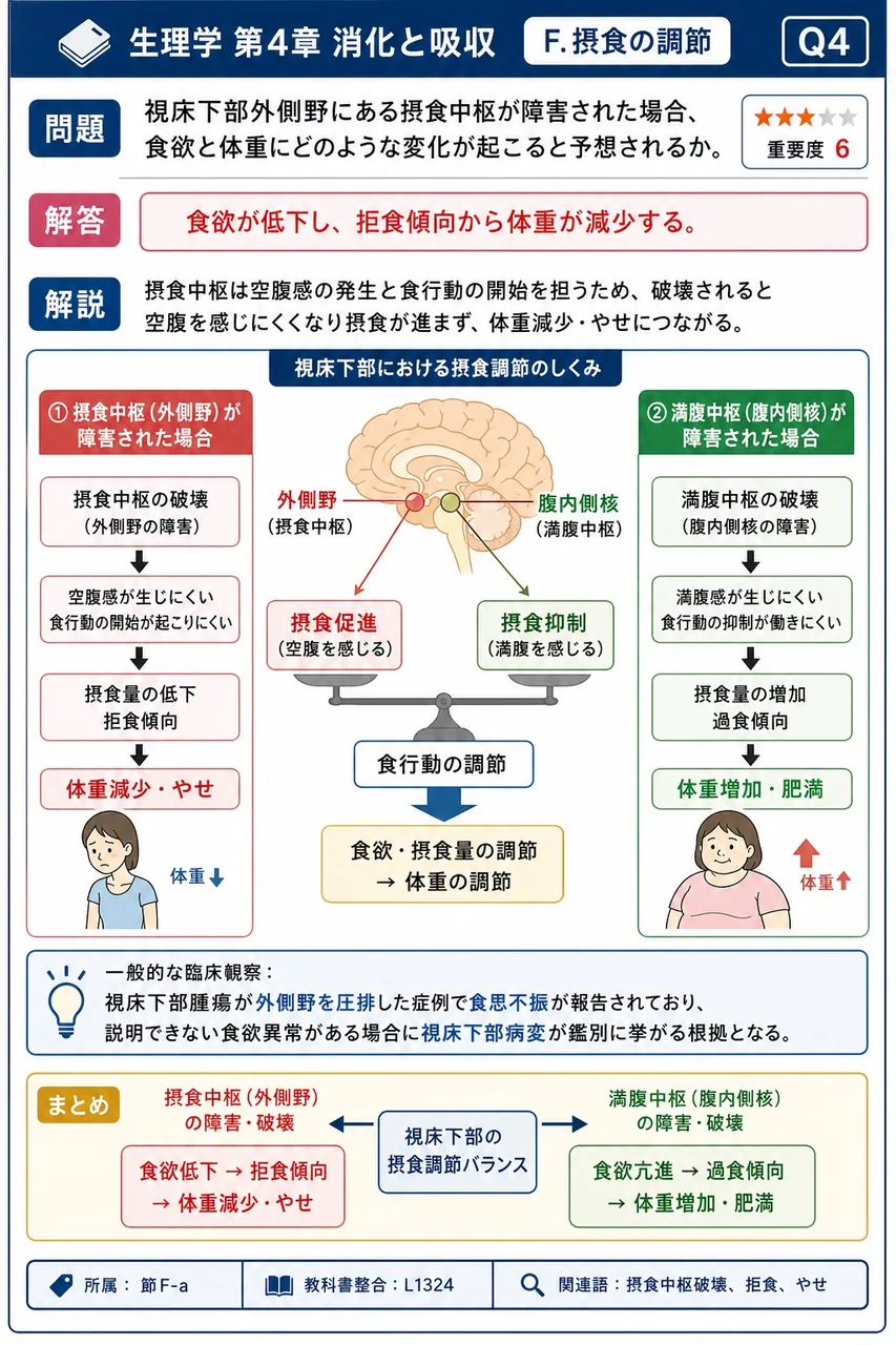 視床下部外側野にある摂食中枢が障害された場合、食欲と体重にどのような変化が起こると予想されるか。 解説図