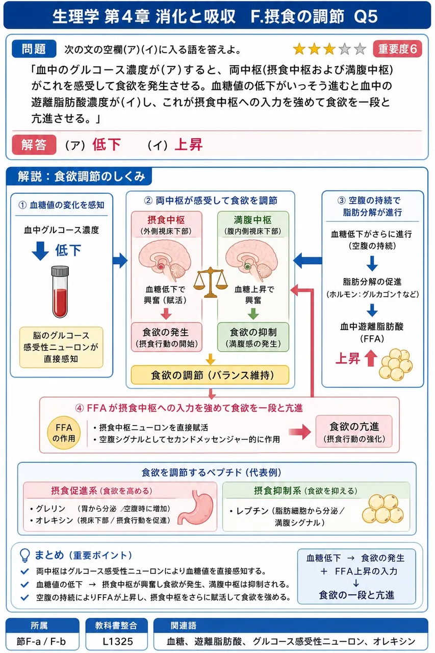 次の文の空欄(ア)(イ)に入る語を答えよ。 「血中のグルコース濃度が(ア)すると、両中枢(摂食中枢および満腹中枢)がこれを感受して食欲を発生させる。血糖値の低下がいっそう進むと血中の遊離脂肪酸濃度が(イ)し、これが摂食中枢への入力を強めて食欲を一段と亢進させる。」 解説図