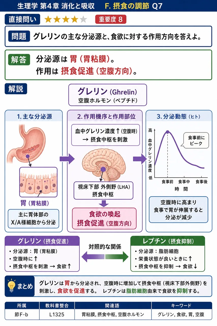 グレリンの主な分泌源と、食欲に対する作用方向を答えよ。 解説図