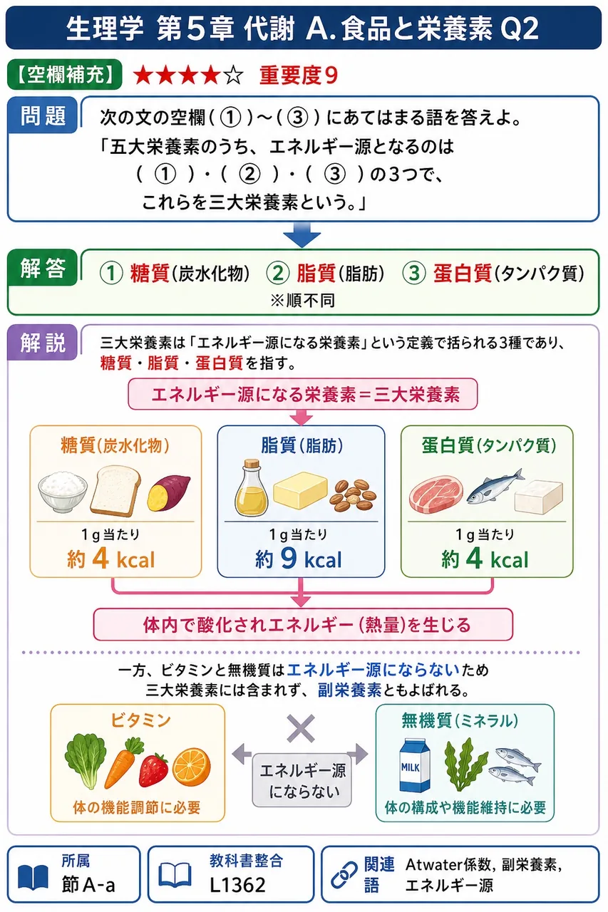 次の文の空欄( ① )~( ③ )にあてはまる語を答えよ。 「五大栄養素のうち、エネルギー源となるのは( ① )・( ② )・( ③ )の3つで、これらを三大栄養素という。」 解説図