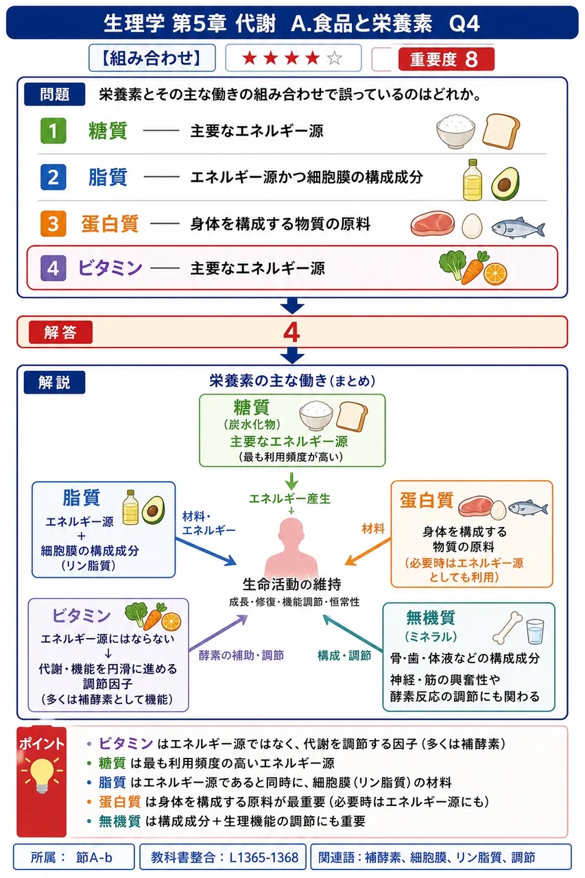 栄養素とその主な働きの組み合わせで誤っているのはどれか。 解説図