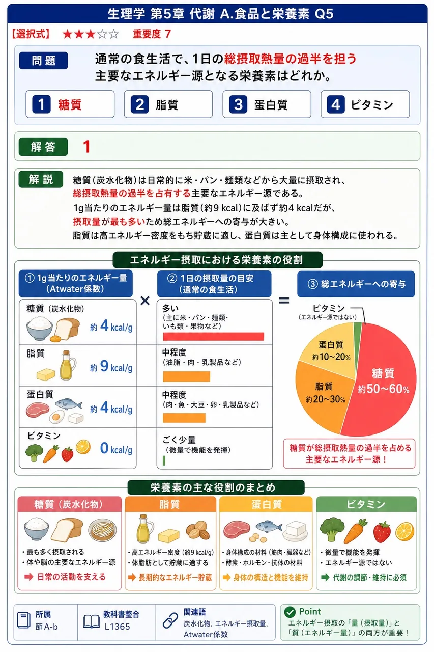 通常の食生活で、1日の総摂取熱量の過半を担う主要なエネルギー源となる栄養素はどれか。 解説図