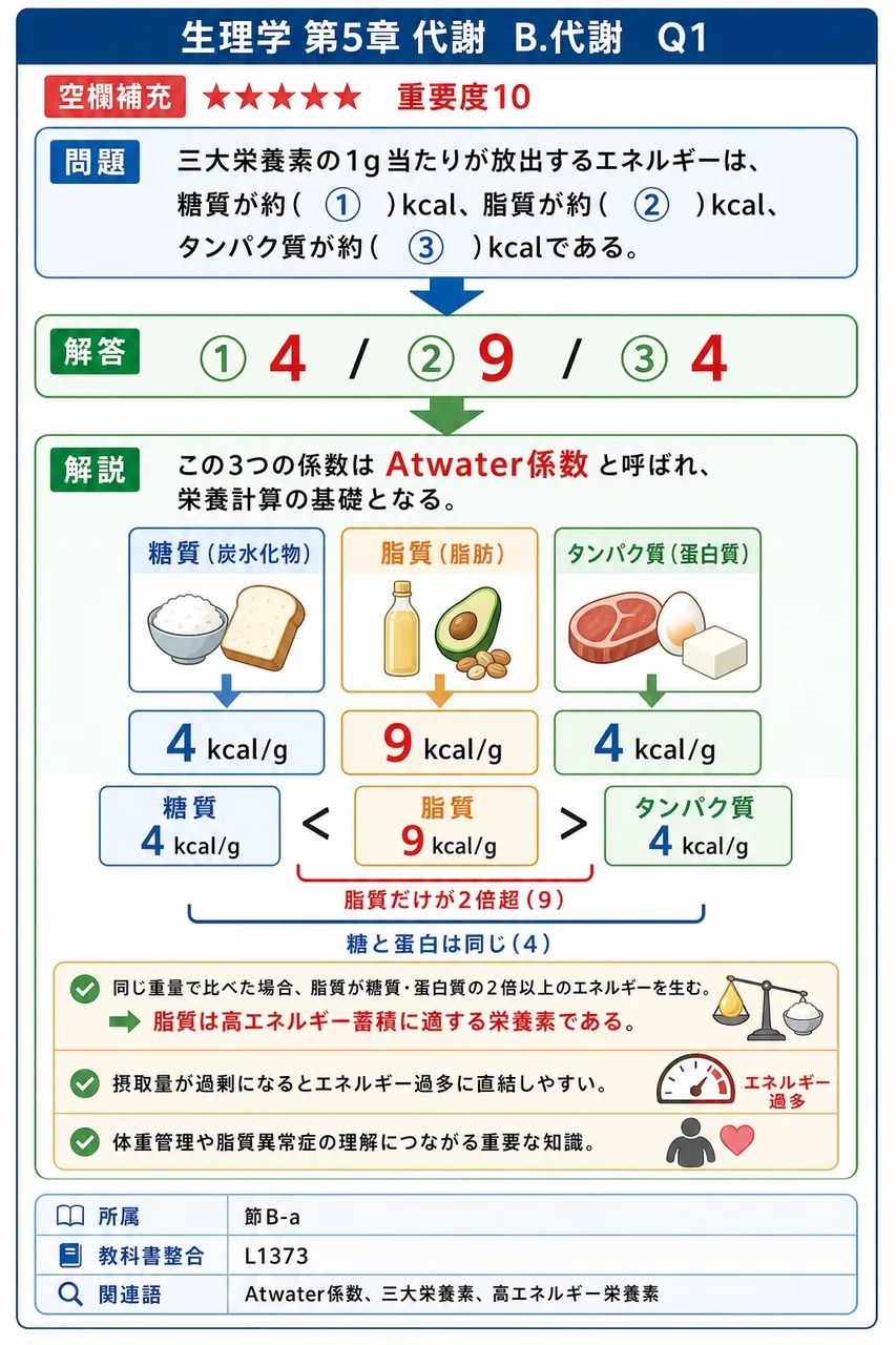 三大栄養素の1g当たりが放出するエネルギーは、糖質が約( ① )kcal、脂質が約( ② )kcal、タンパク質が約( ③ )kcalである。 解説図