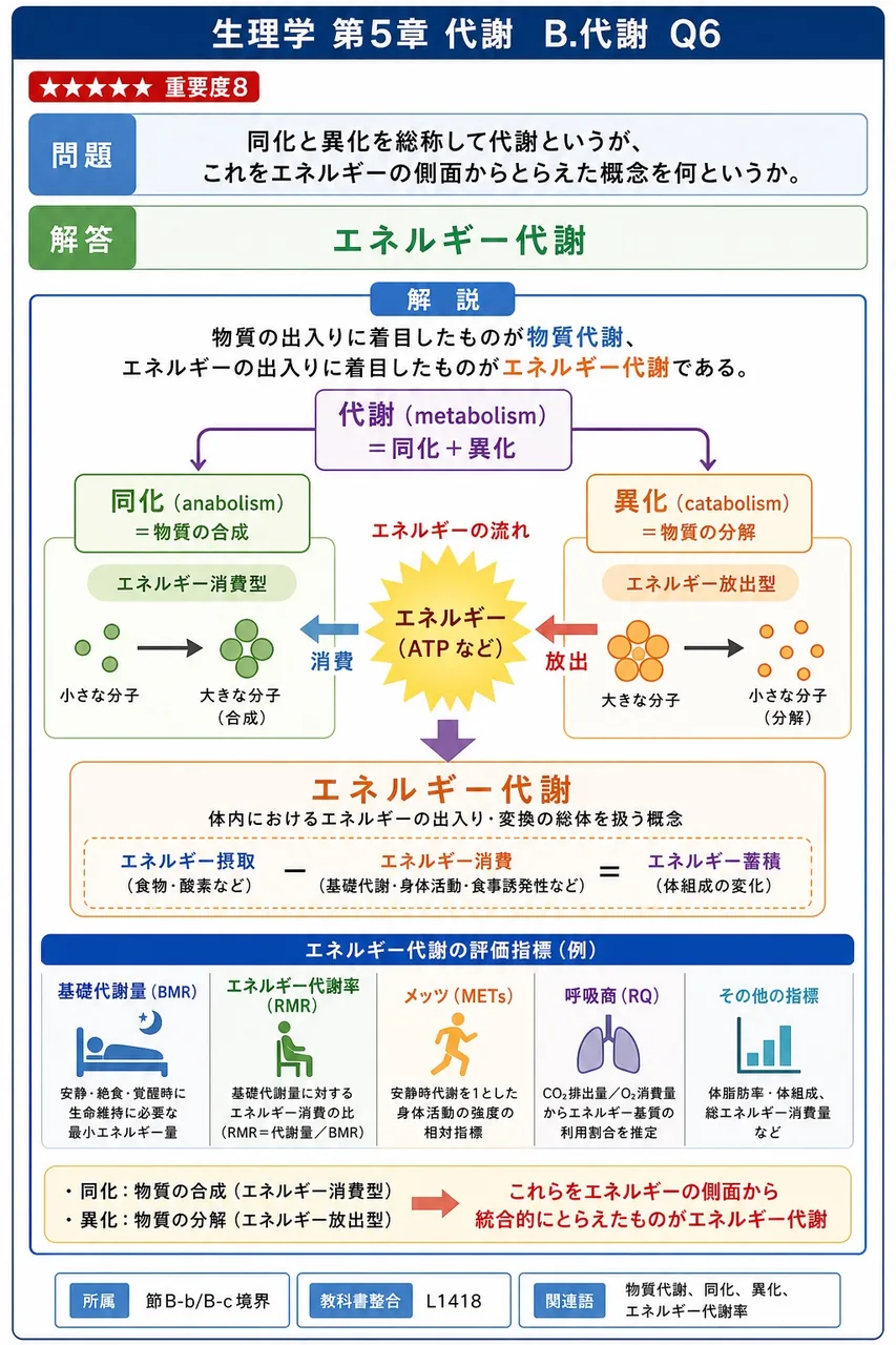 同化と異化を総称して代謝というが、これをエネルギーの側面からとらえた概念を何というか。 解説図