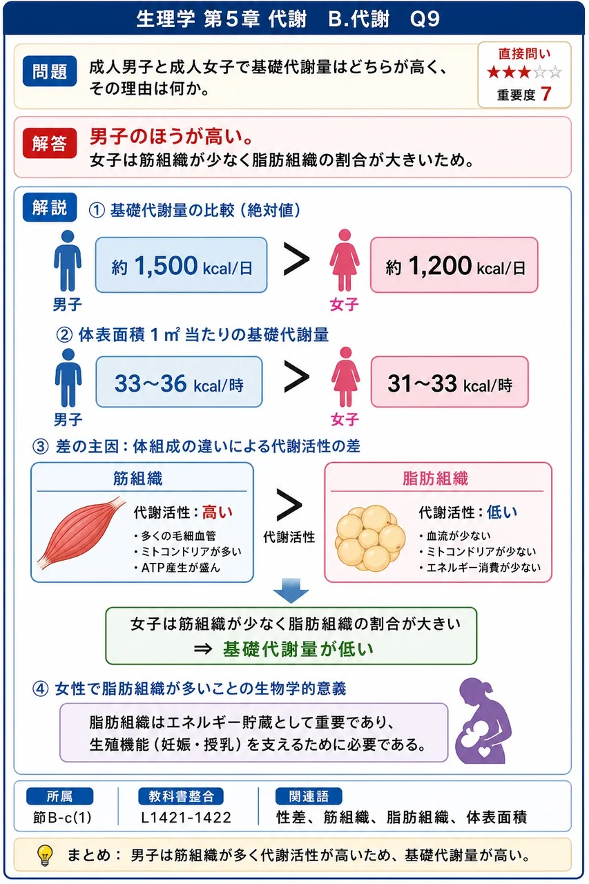成人男子と成人女子で基礎代謝量はどちらが高く、その理由は何か。 解説図