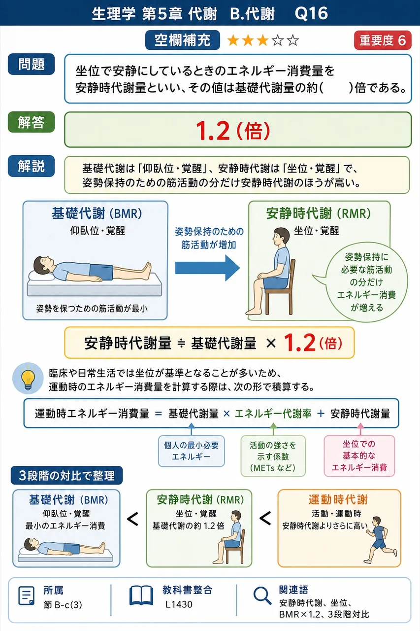 坐位で安静にしているときのエネルギー消費量を安静時代謝量といい、その値は基礎代謝量の約( )倍である。 解説図