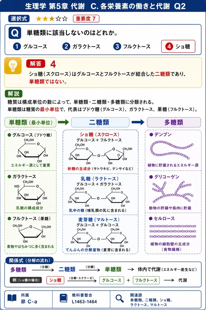 単糖類に該当しないのはどれか。 解説図
