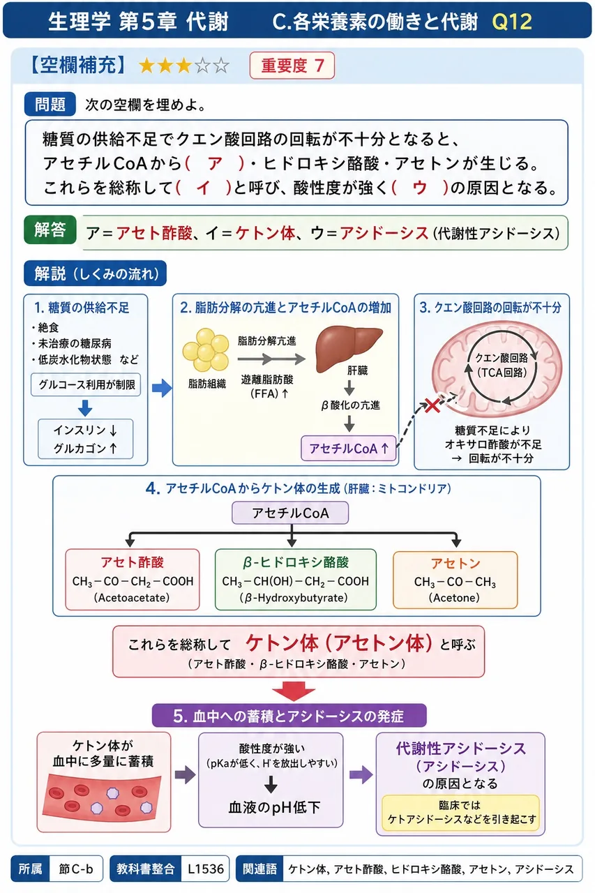 次の空欄を埋めよ。 「糖質の供給不足でクエン酸回路の回転が不十分となると、アセチルCoAから( ア )・ヒドロキシ酪酸・アセトンが生じる。これらを総称して( イ )と呼び、酸性度が強く( ウ )の原因となる。」 解説図