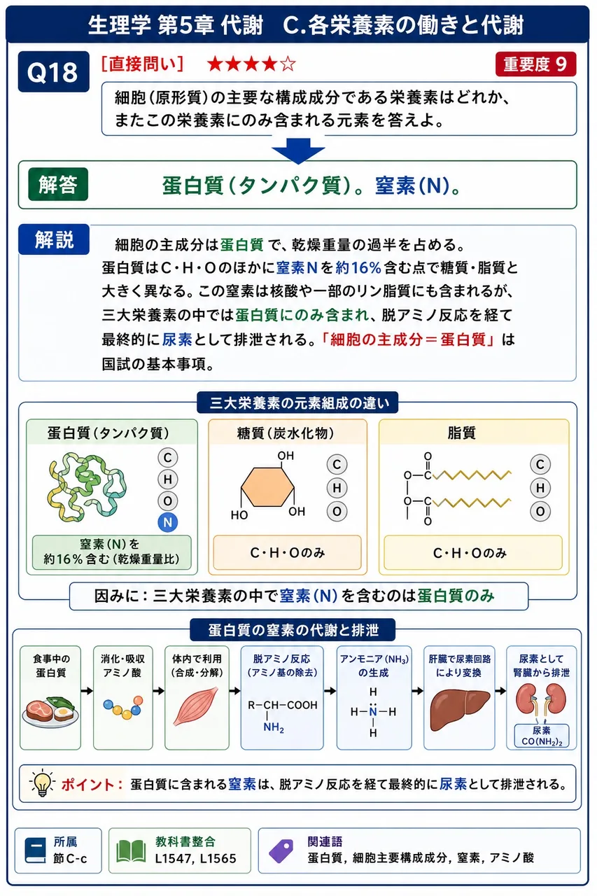 細胞(原形質)の主要な構成成分である栄養素はどれか、またこの栄養素にのみ含まれる元素を答えよ。 解説図