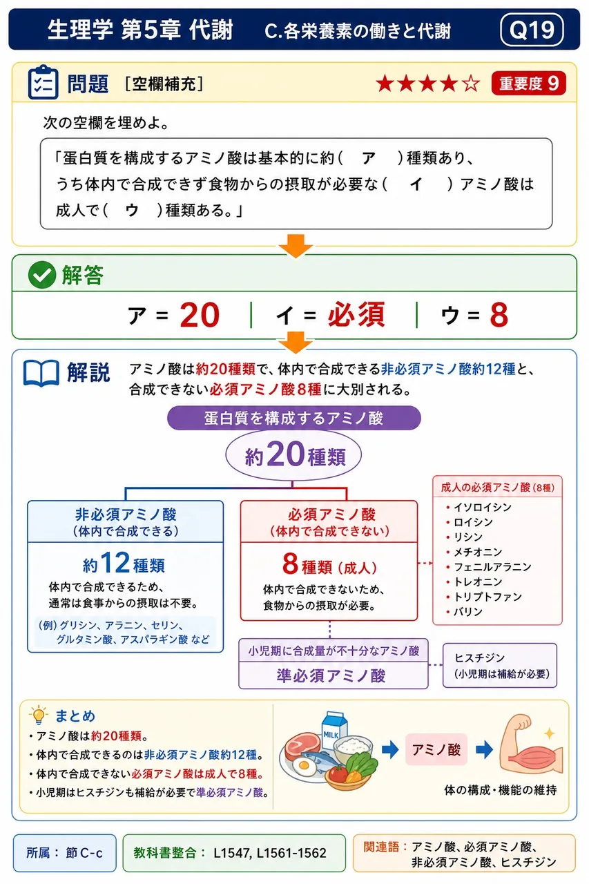 次の空欄を埋めよ。 「蛋白質を構成するアミノ酸は基本的に約( ア )種類あり、うち体内で合成できず食物からの摂取が必要な( イ )アミノ酸は成人で( ウ )種類ある。」 解説図
