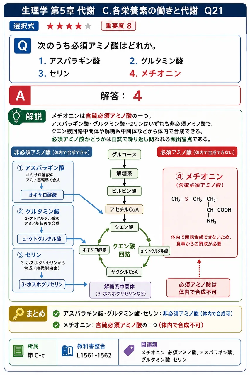 次のうち必須アミノ酸はどれか。 解説図
