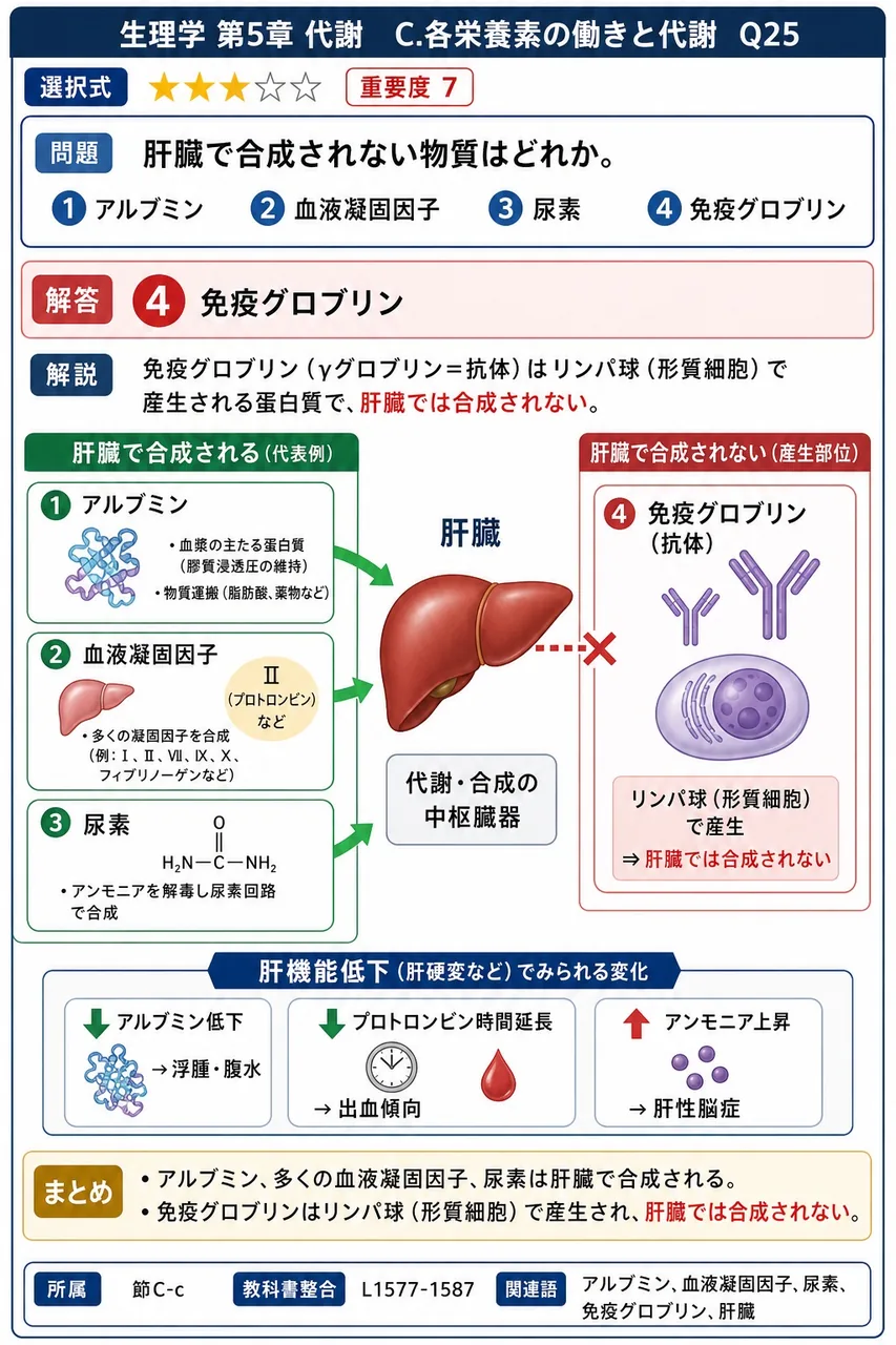 肝臓で合成されない物質はどれか。 解説図