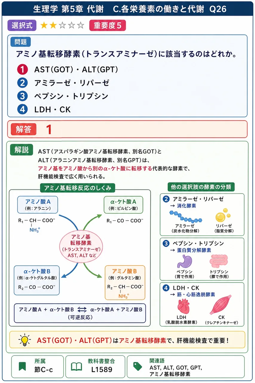 アミノ基転移酵素(トランスアミナーゼ)に該当するのはどれか。 解説図