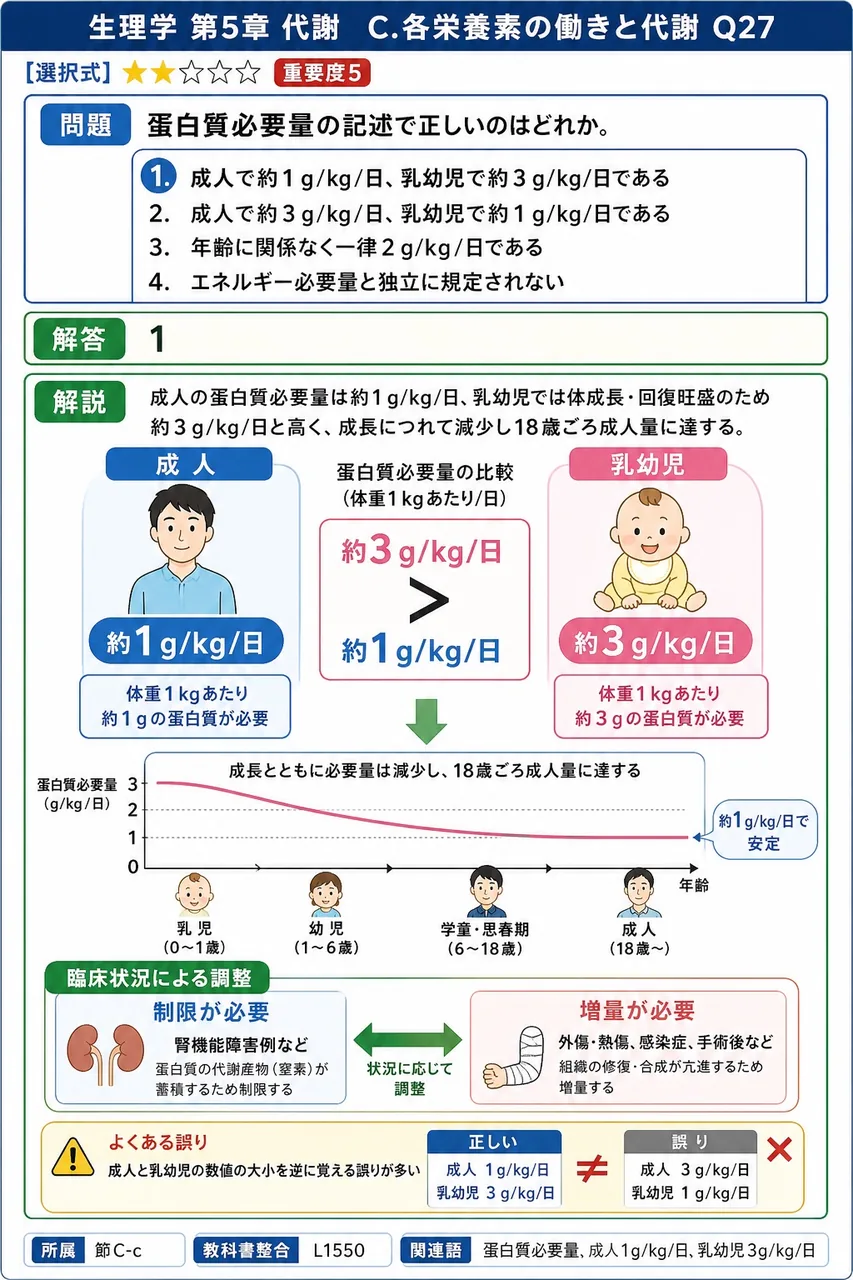 蛋白質必要量の記述で正しいのはどれか。 解説図