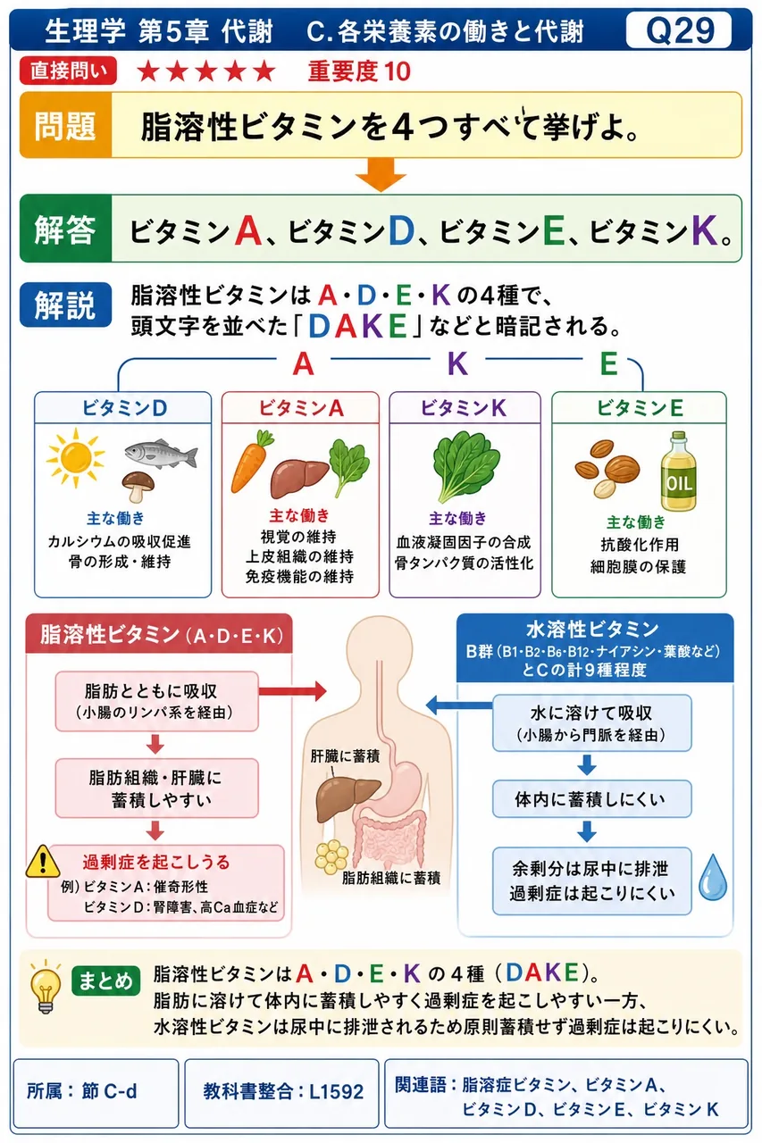 脂溶性ビタミンを4つすべて挙げよ。 解説図