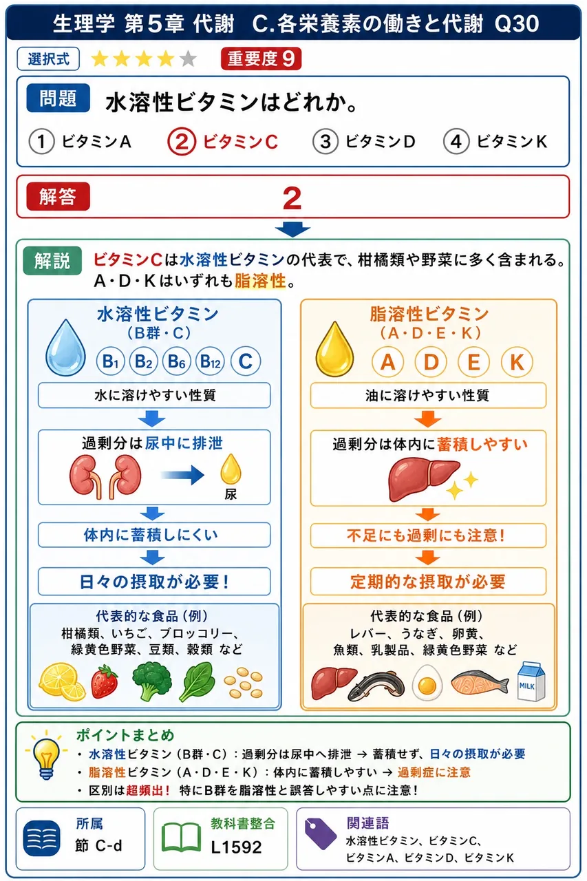 水溶性ビタミンはどれか。 解説図